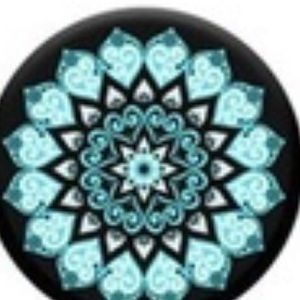 Meet your Posher, Daisy